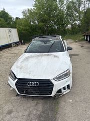 2019 Audi S5 3.0T Premium - Primary Damage Straight On Image